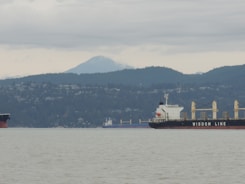 A large cargo ship labeled 'Wisdom Line' is sailing in a body of water with a backdrop of forested hills and a mountain partially shrouded in clouds.