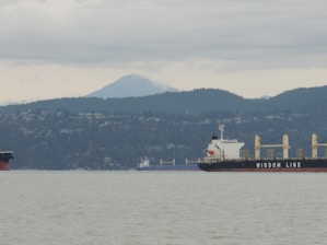 A large cargo ship labeled 'Wisdom Line' is sailing in a body of water with a backdrop of forested hills and a mountain partially shrouded in clouds.