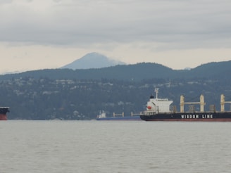 A large cargo ship labeled 'Wisdom Line' is sailing in a body of water with a backdrop of forested hills and a mountain partially shrouded in clouds.