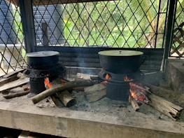 A rustic outdoor cooking setup features two large pots covered with lids, resting on metal stoves with wood logs used as fuel. The fires are burning brightly, emitting smoke under a canopy structure with a crisscross metal pattern. The background shows vegetation, including palm leaves and greenery.