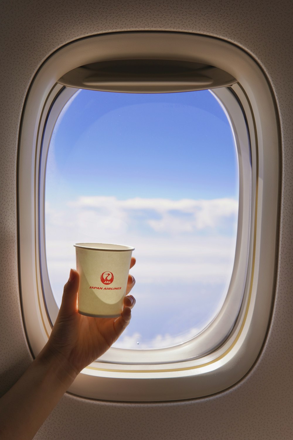 person holding white and red disposable cup