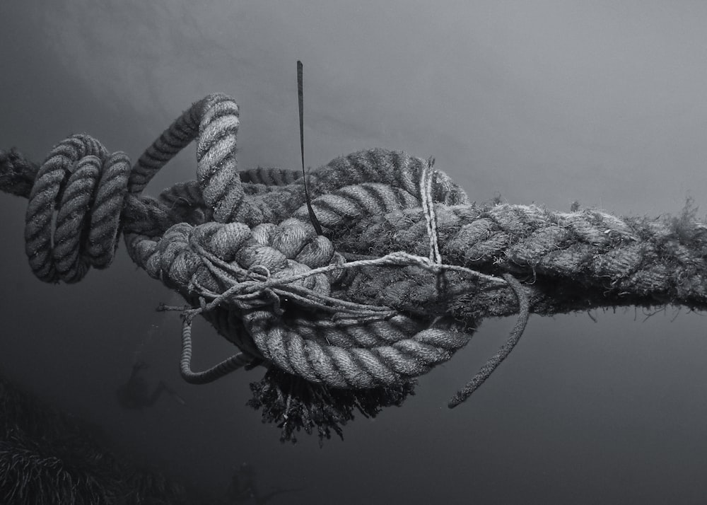 昼間の水上の灰色のロープ