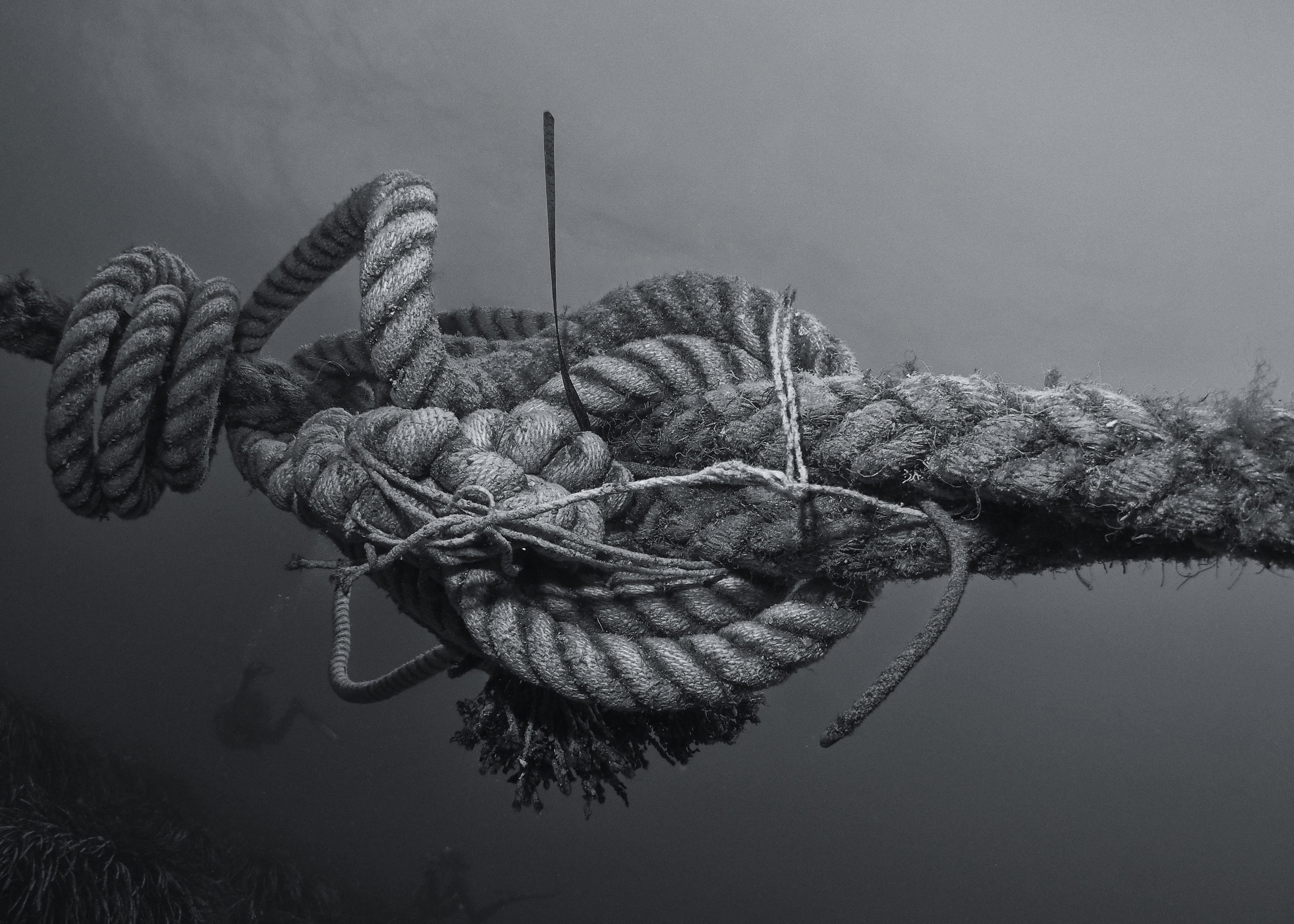 gray rope on water during daytime