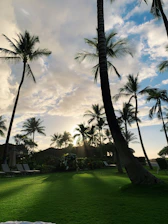 A serene tropical retreat setting with soft sunlight filtering through palm leaves onto a cozy outdoor lounge.