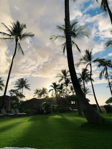 A serene tropical retreat setting with soft sunlight filtering through palm leaves onto a cozy outdoor lounge.