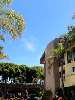 A modern building with a slanted roof is surrounded by lush palm trees and shrubs. The sky is a bright, clear blue, creating a serene atmosphere. The building has large windows and a beige facade.