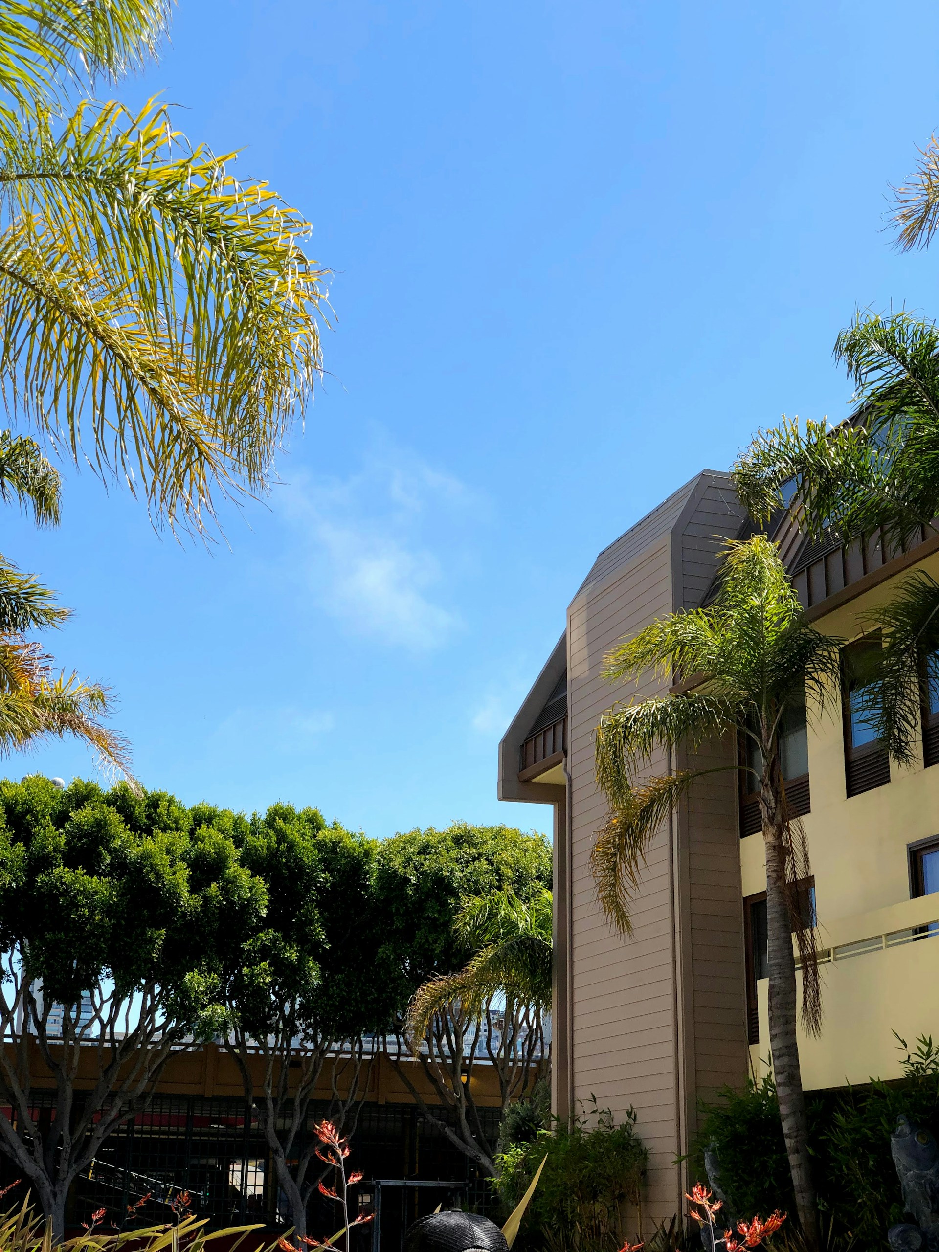 woman wearing yellow long-sleeved dress under white clouds and blue sky during daytime