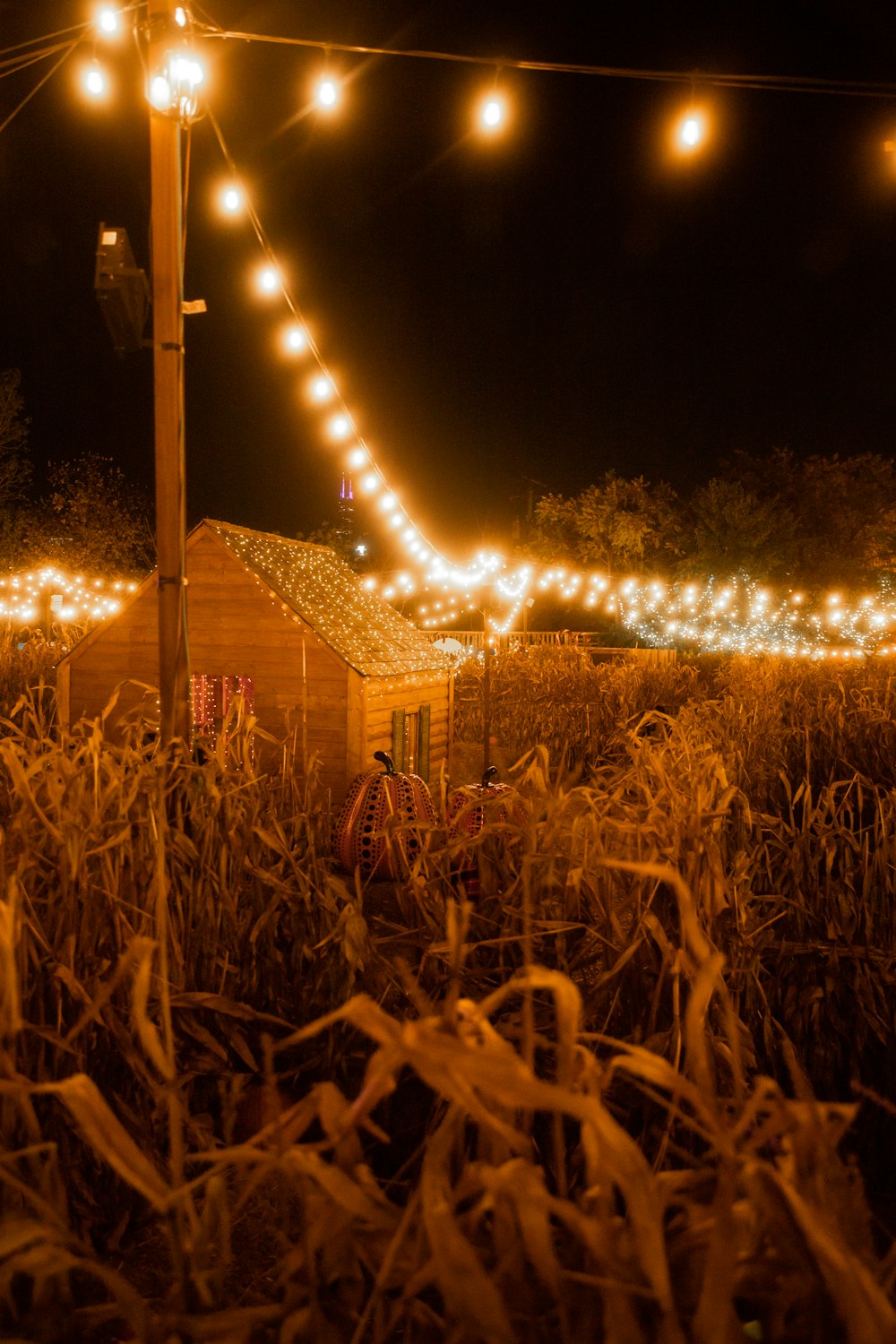 brown wooden house with string lights during night time