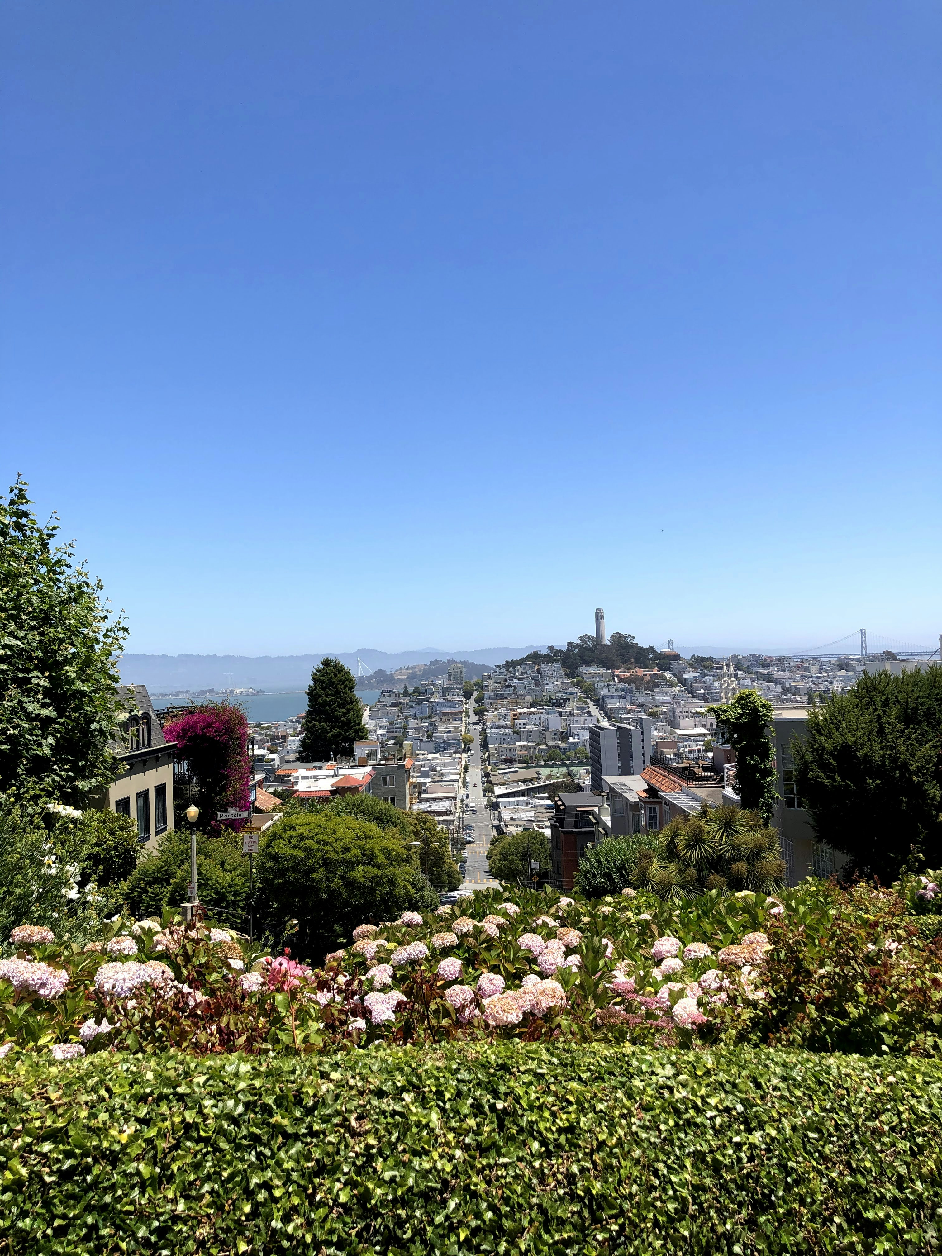 San Francisco – Weather & Seasonal Patterns