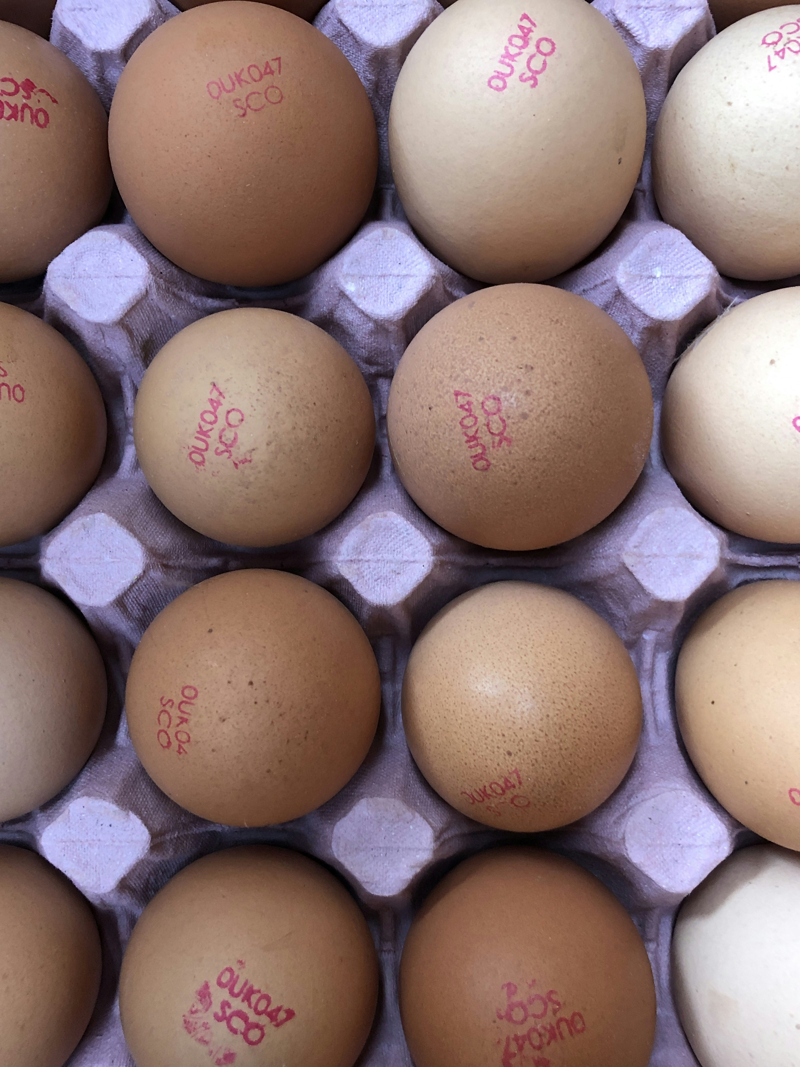 Photo by smashineggs