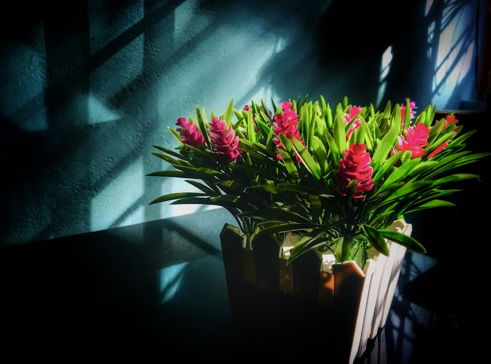 pink and white flowers in white ceramic vase