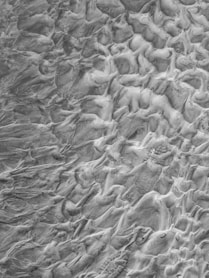 grayscale photo of body of water