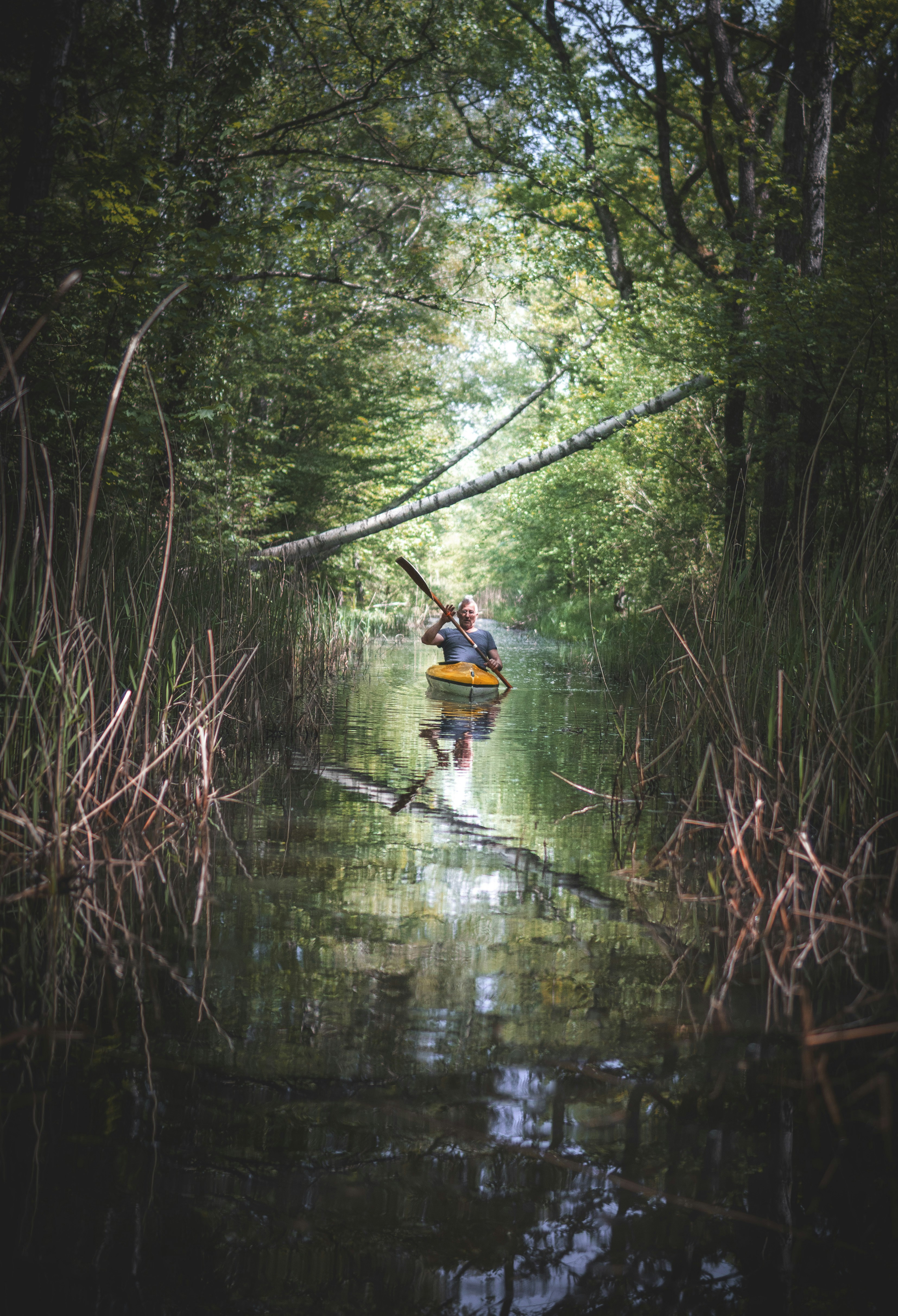10 Reasons Why Kayaking is the Perfect Outdoor Activity New Dream
