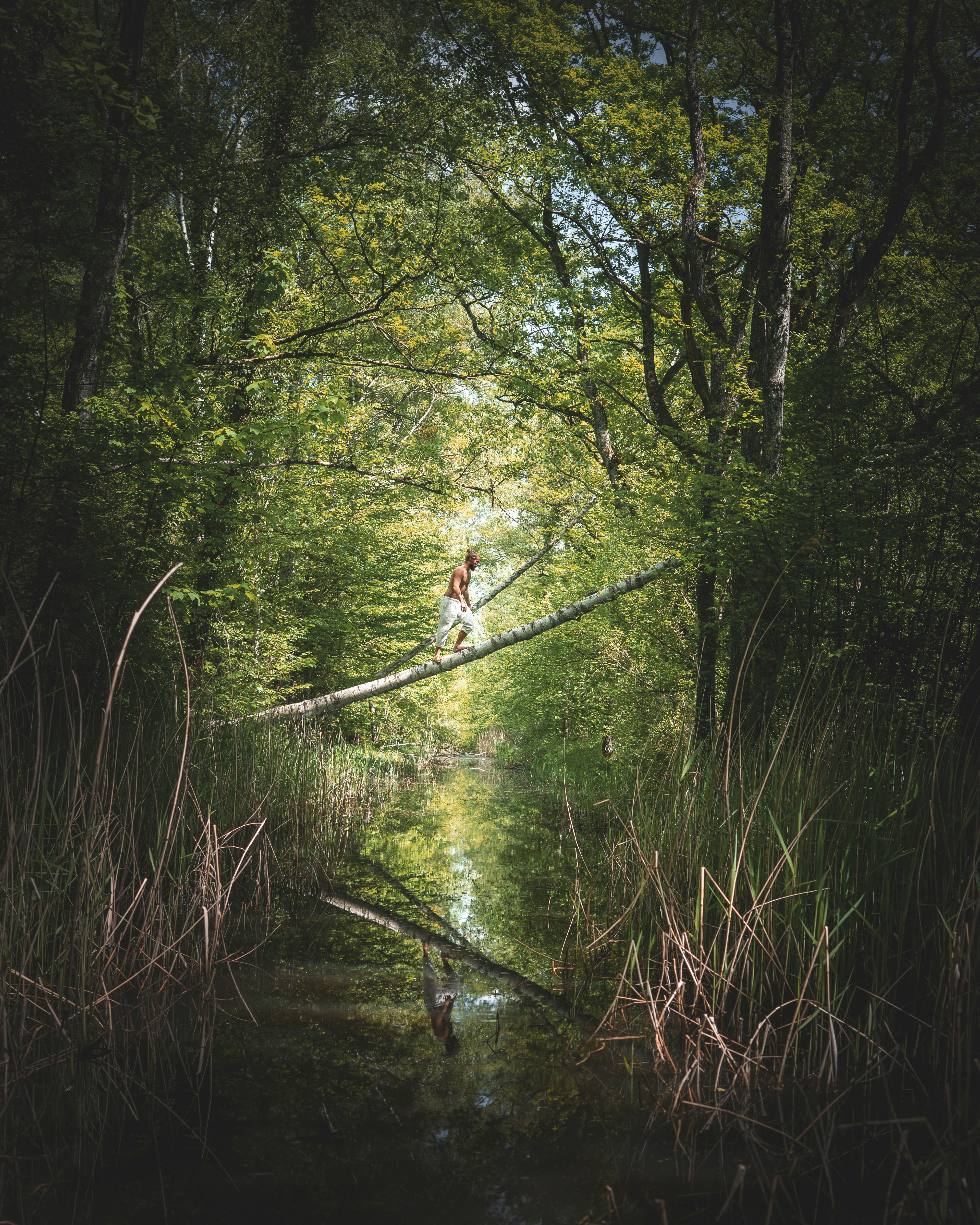 man in red shirt and blue denim jeans walking on hanging bridge