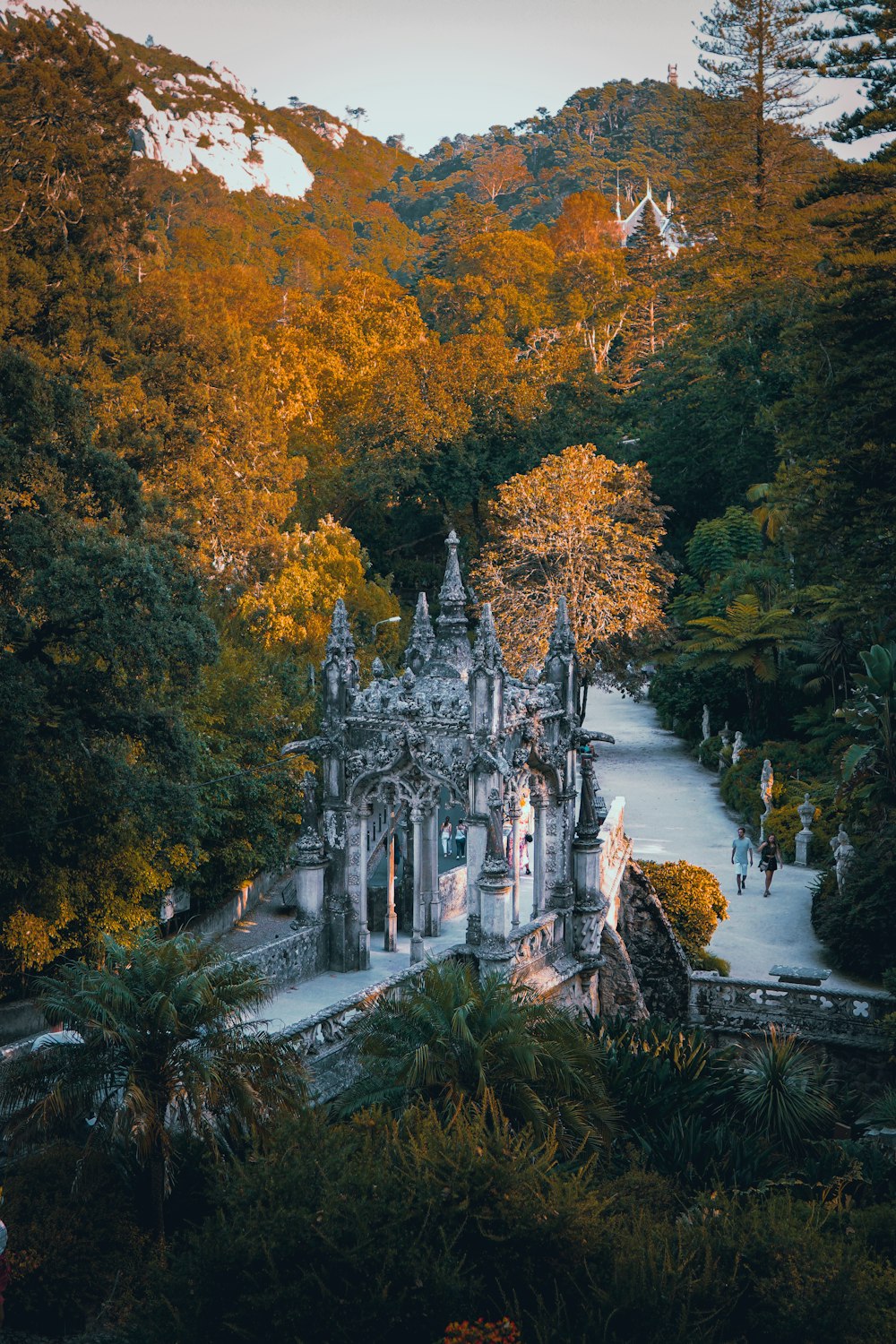 white water fountain in the middle of the forest