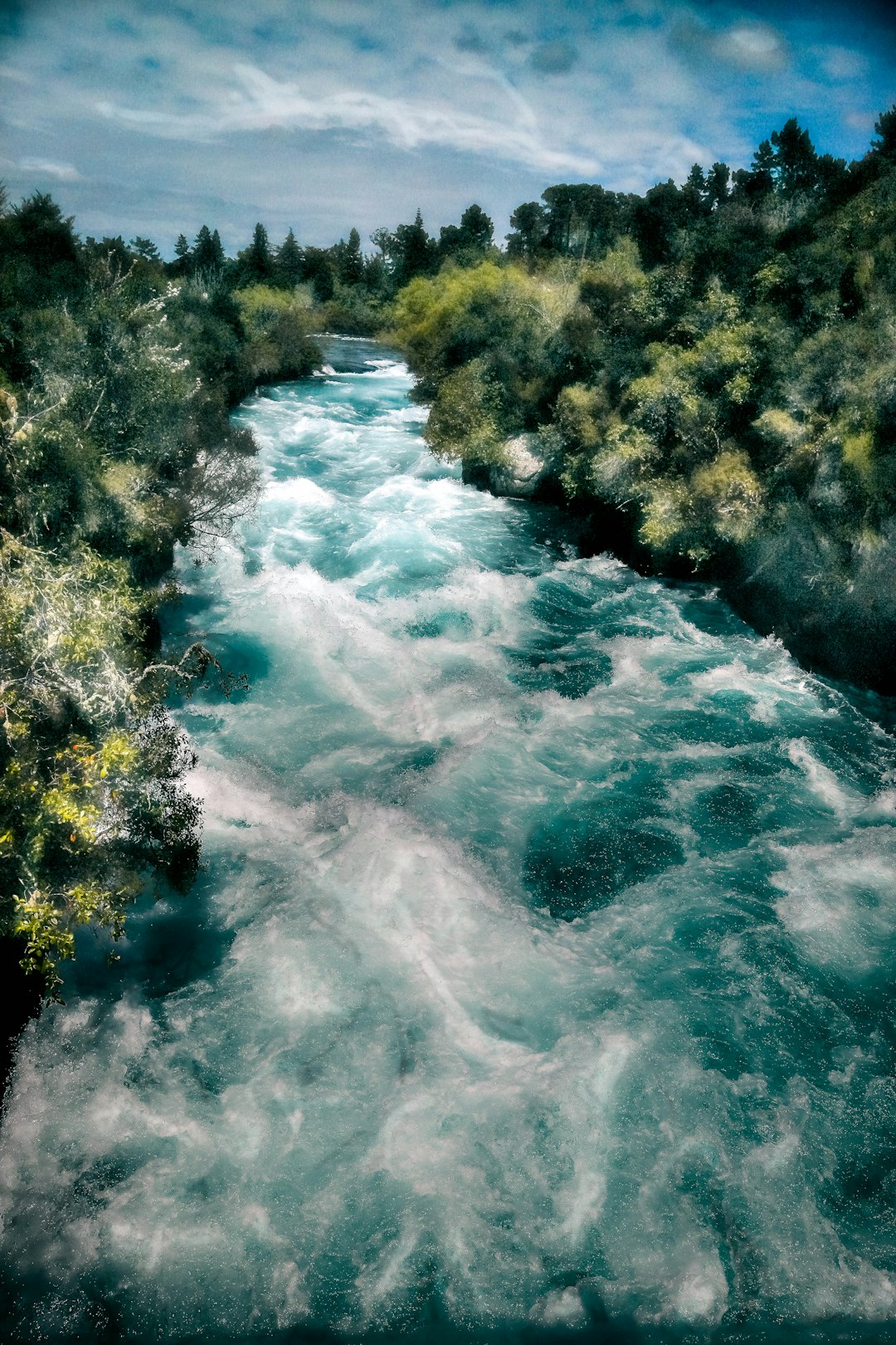 green trees and river during daytime