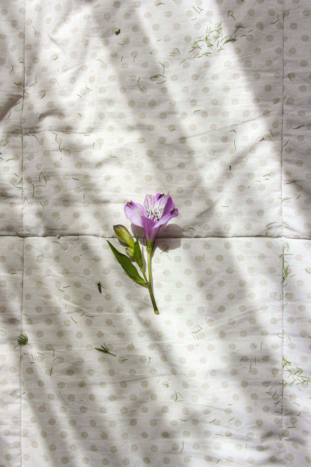 purple flower on white and gray textile