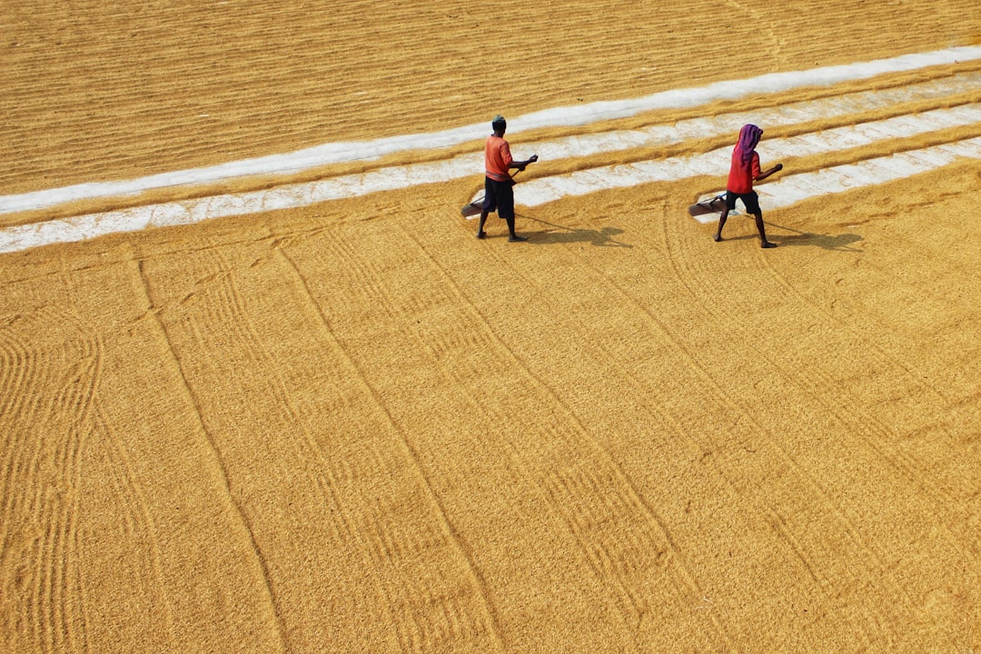 2 person walking on brown sand during daytime