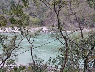 A river flows with a pale green hue, bordered by trees and foliage. The landscape includes a rocky shoreline and hills in the background, covered with dense vegetation. Overhead cables crisscross the scene, integrating with nature.