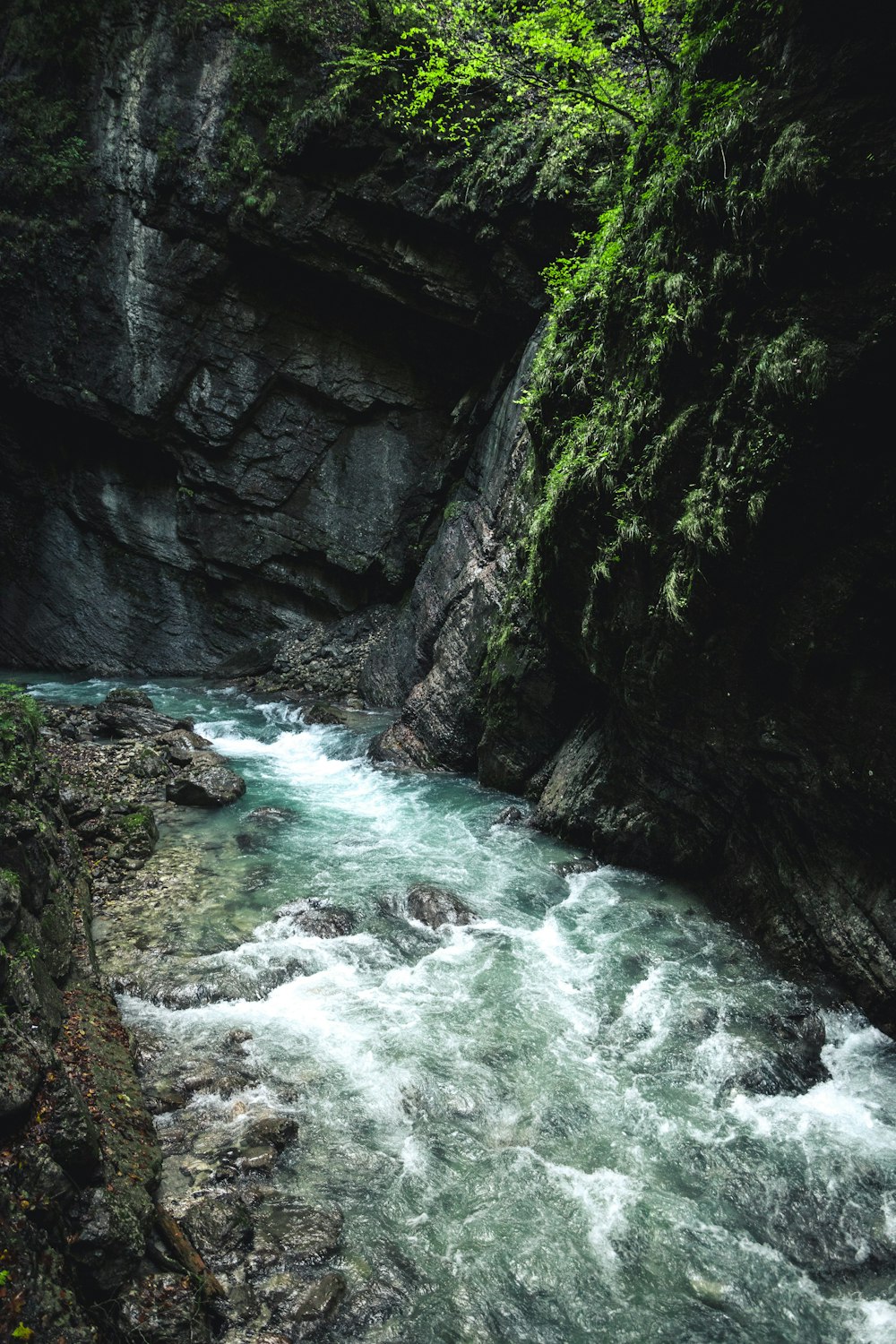 río entre las Montañas Rocosas durante el día