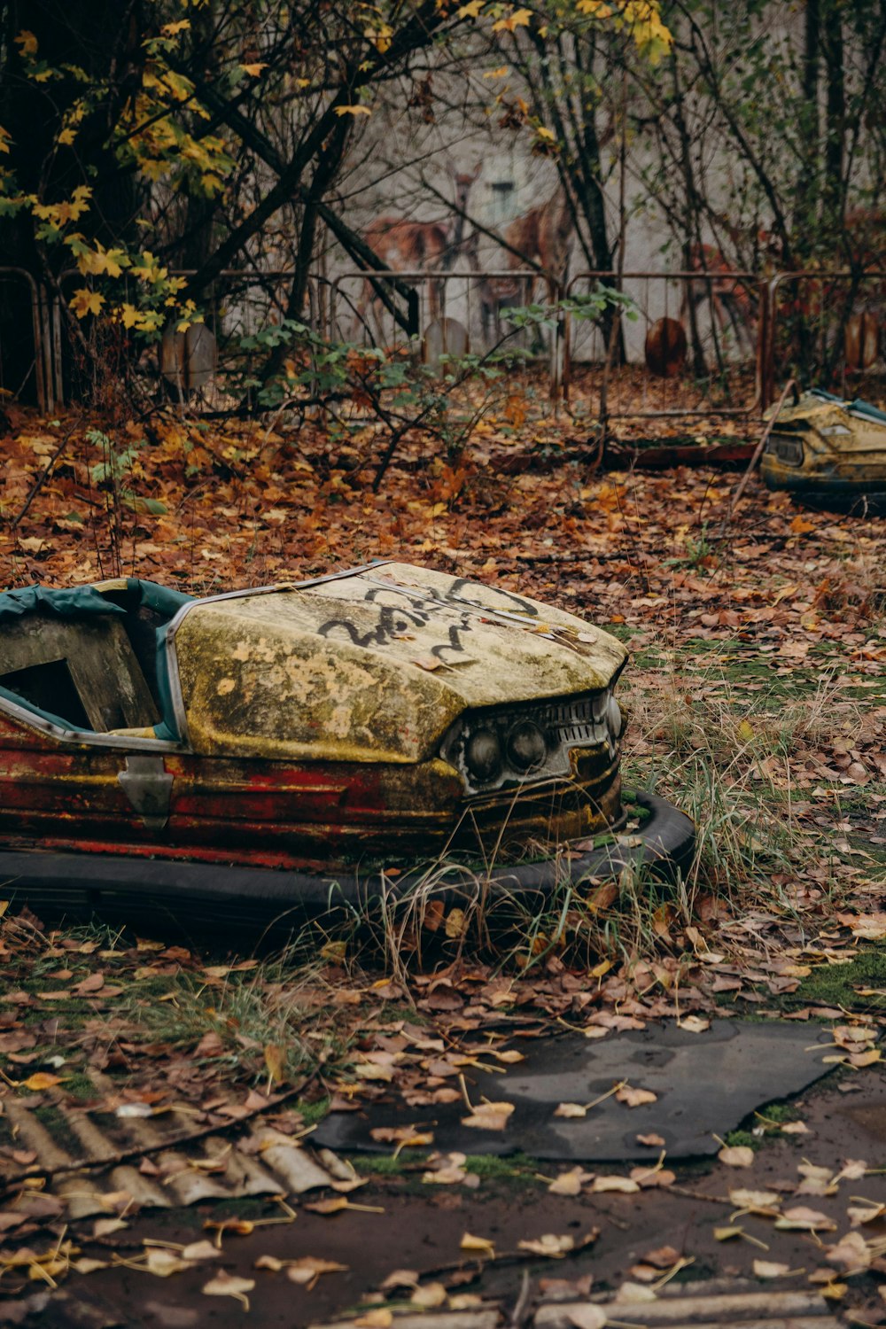 red car on brown dried leaves