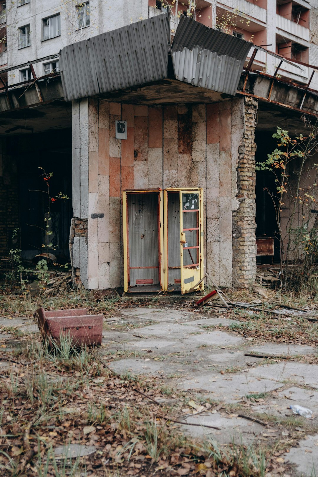 brown wooden door near green plants during daytime