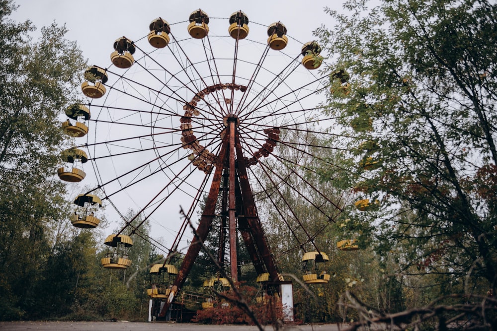 white and brown ferris wheel