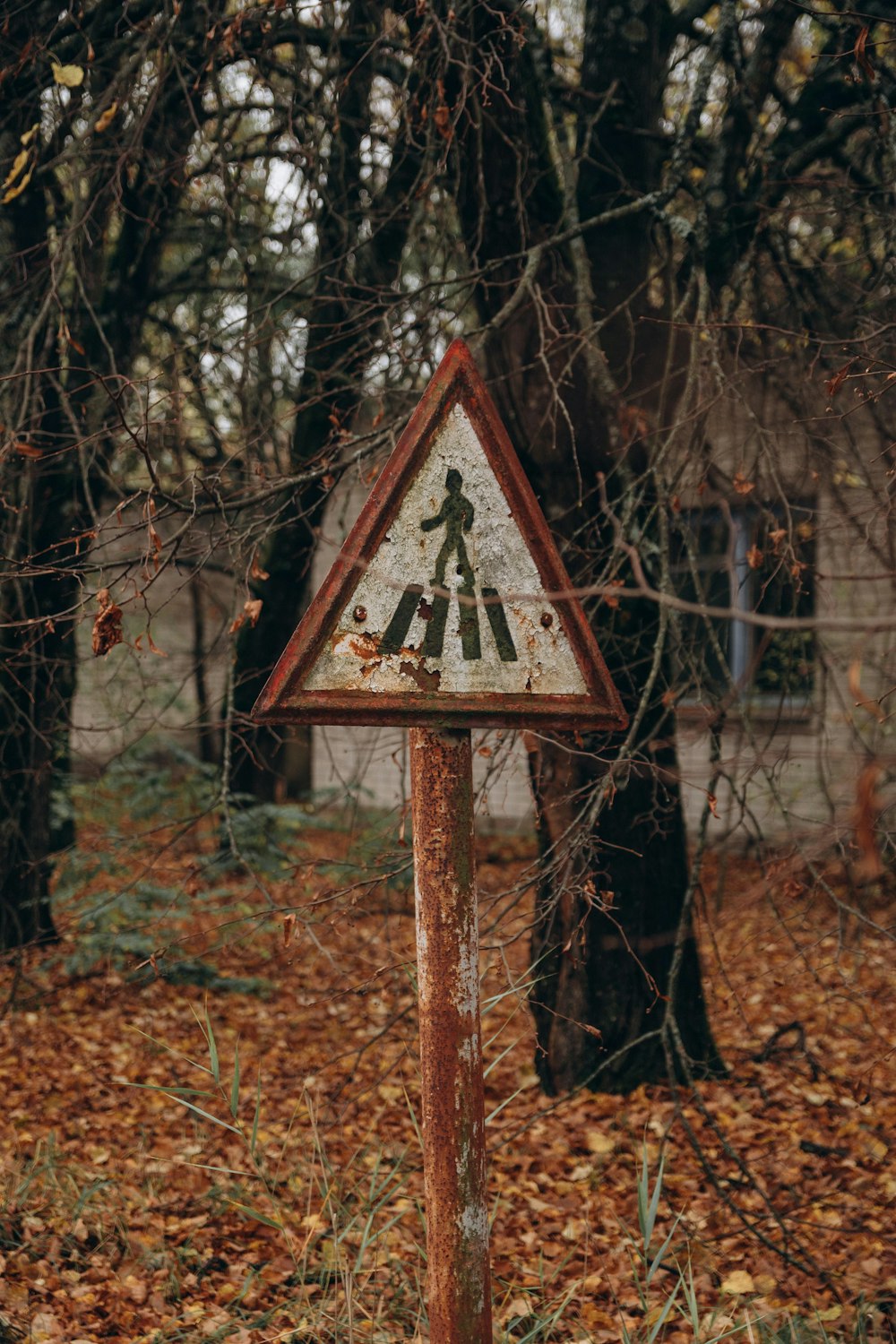 brown and white wooden signage