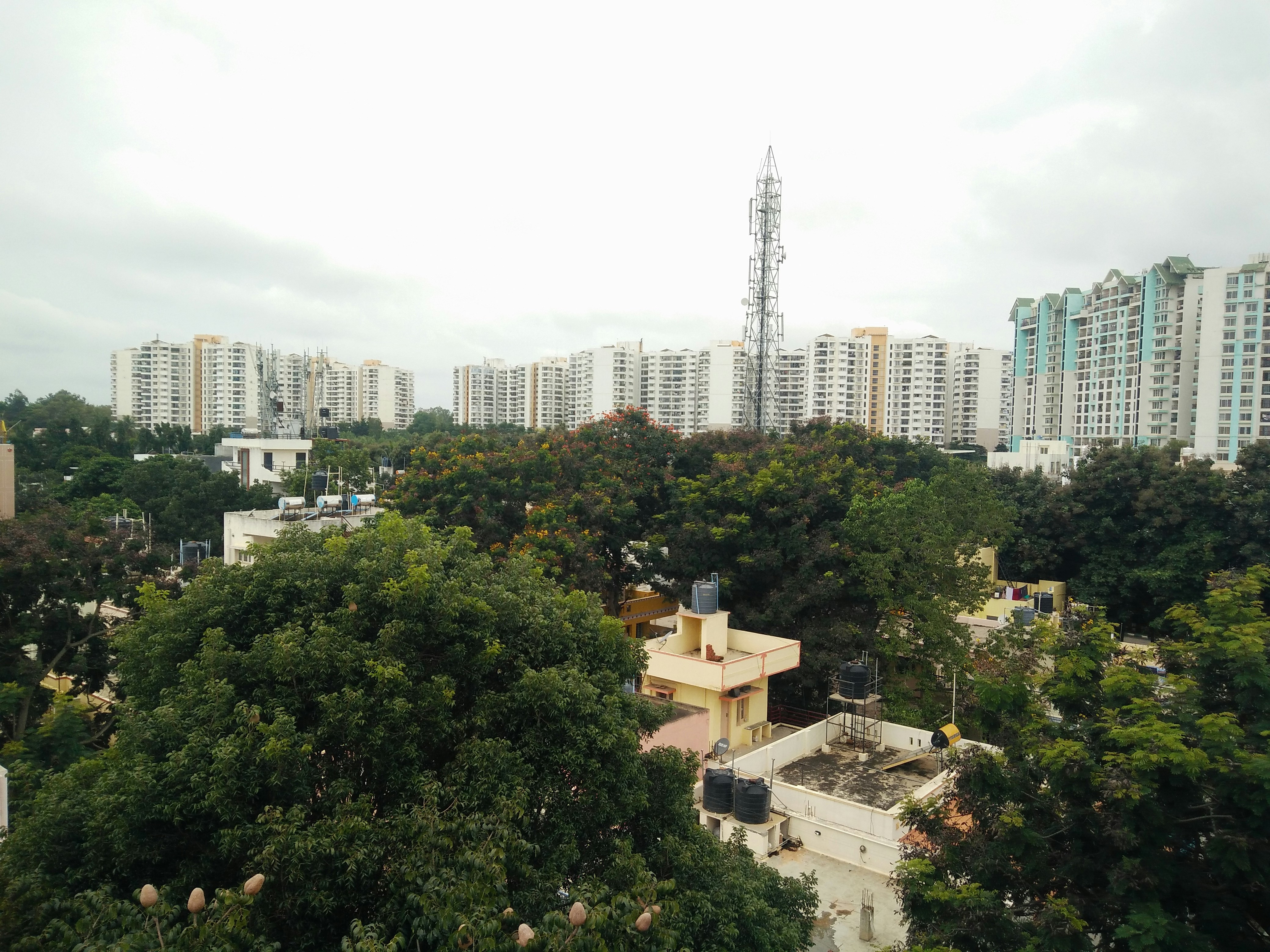 Photo by kondarajusureshreddy