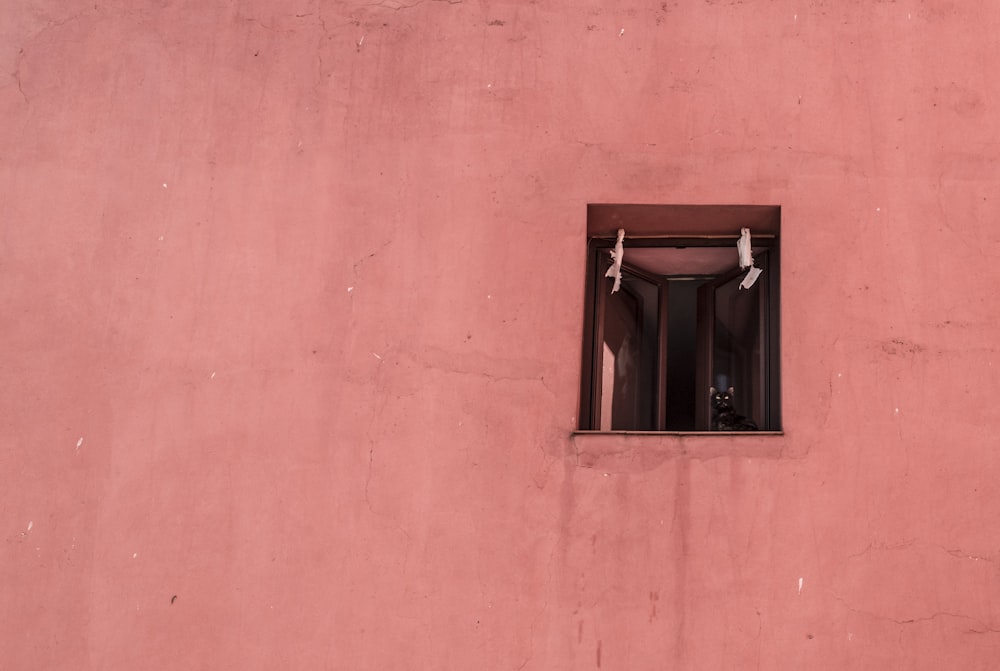 black wooden window frame on pink wall
