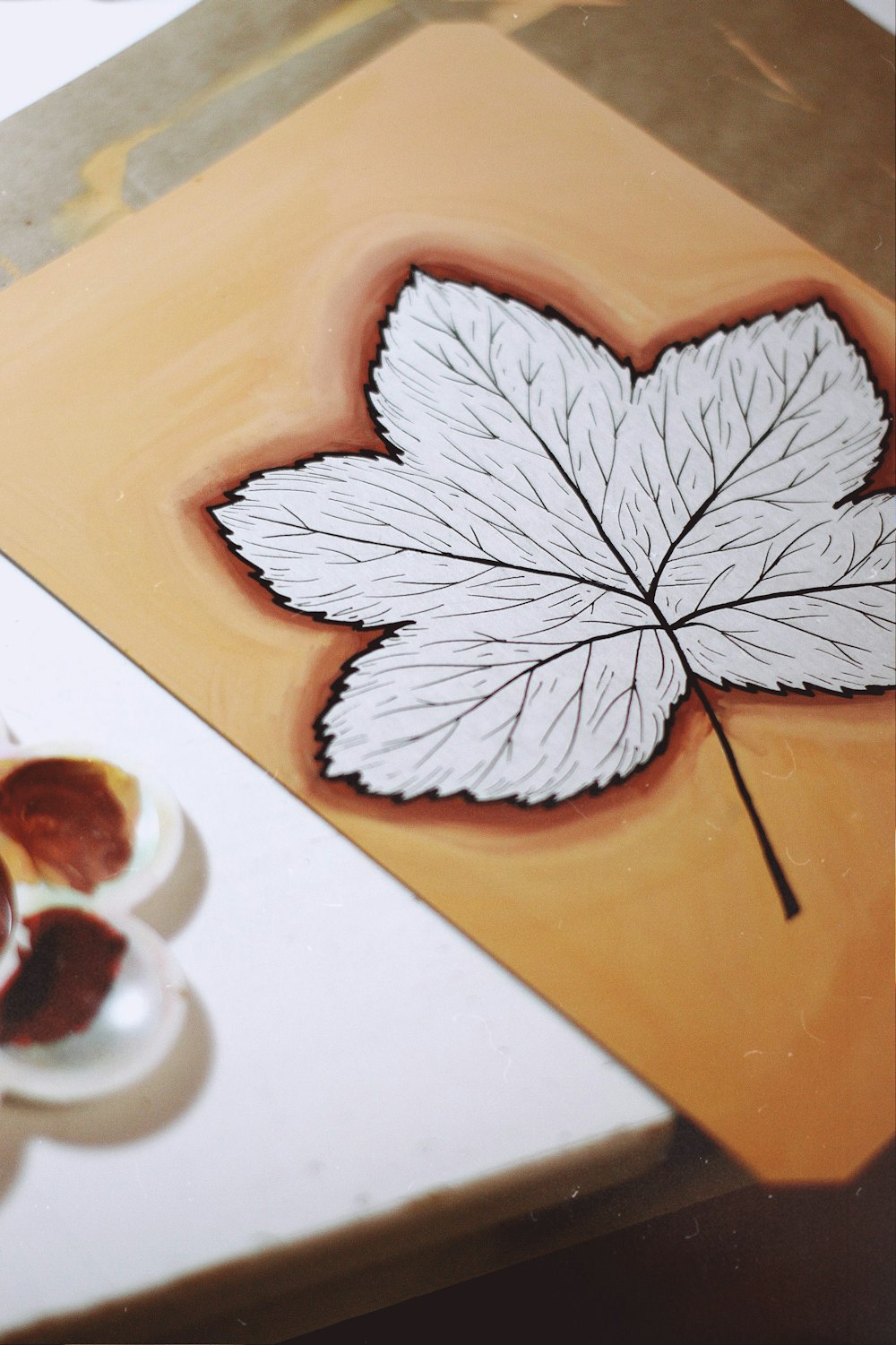 brown and white flower on yellow surface