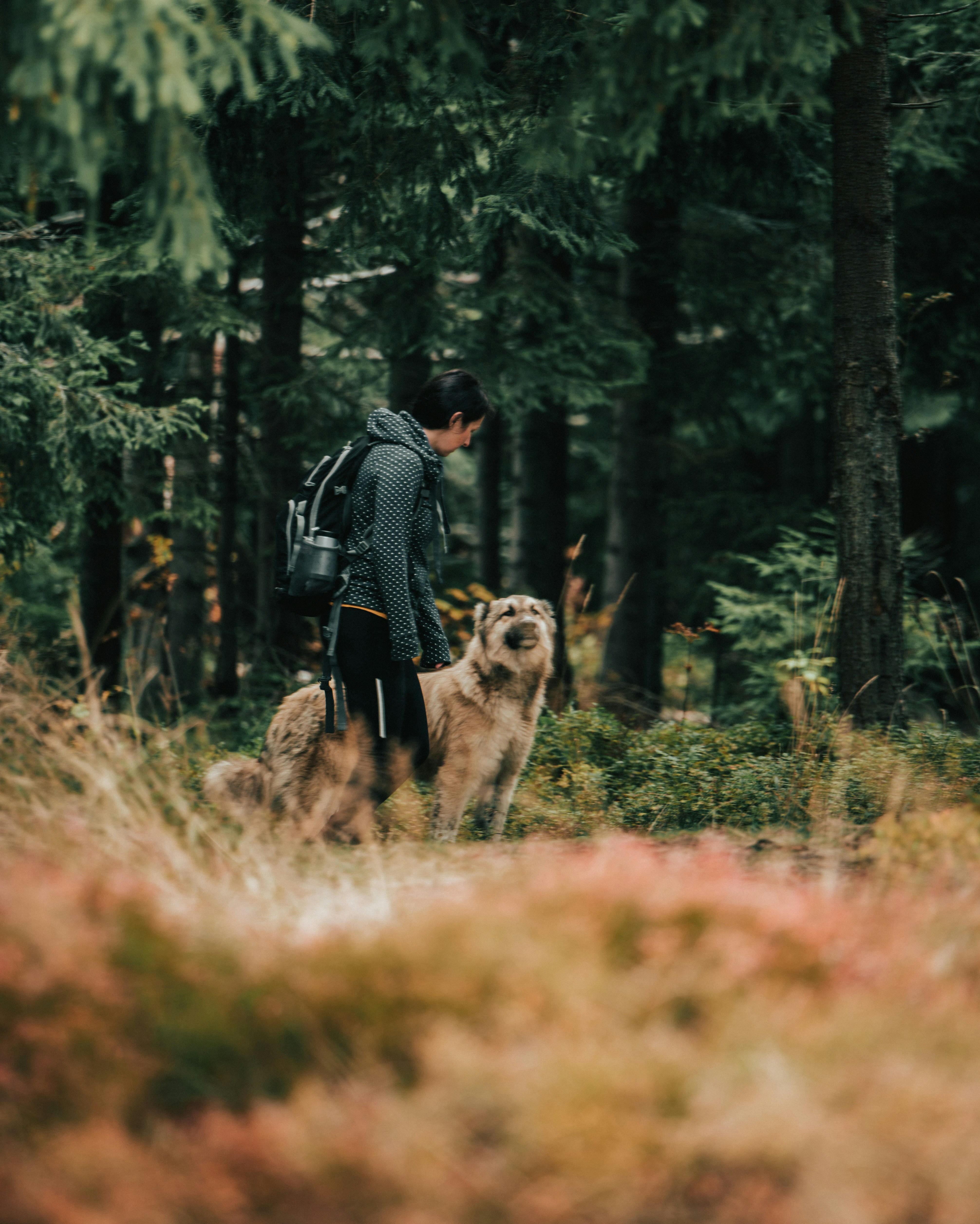 Photo by tamas_tuzeskatai