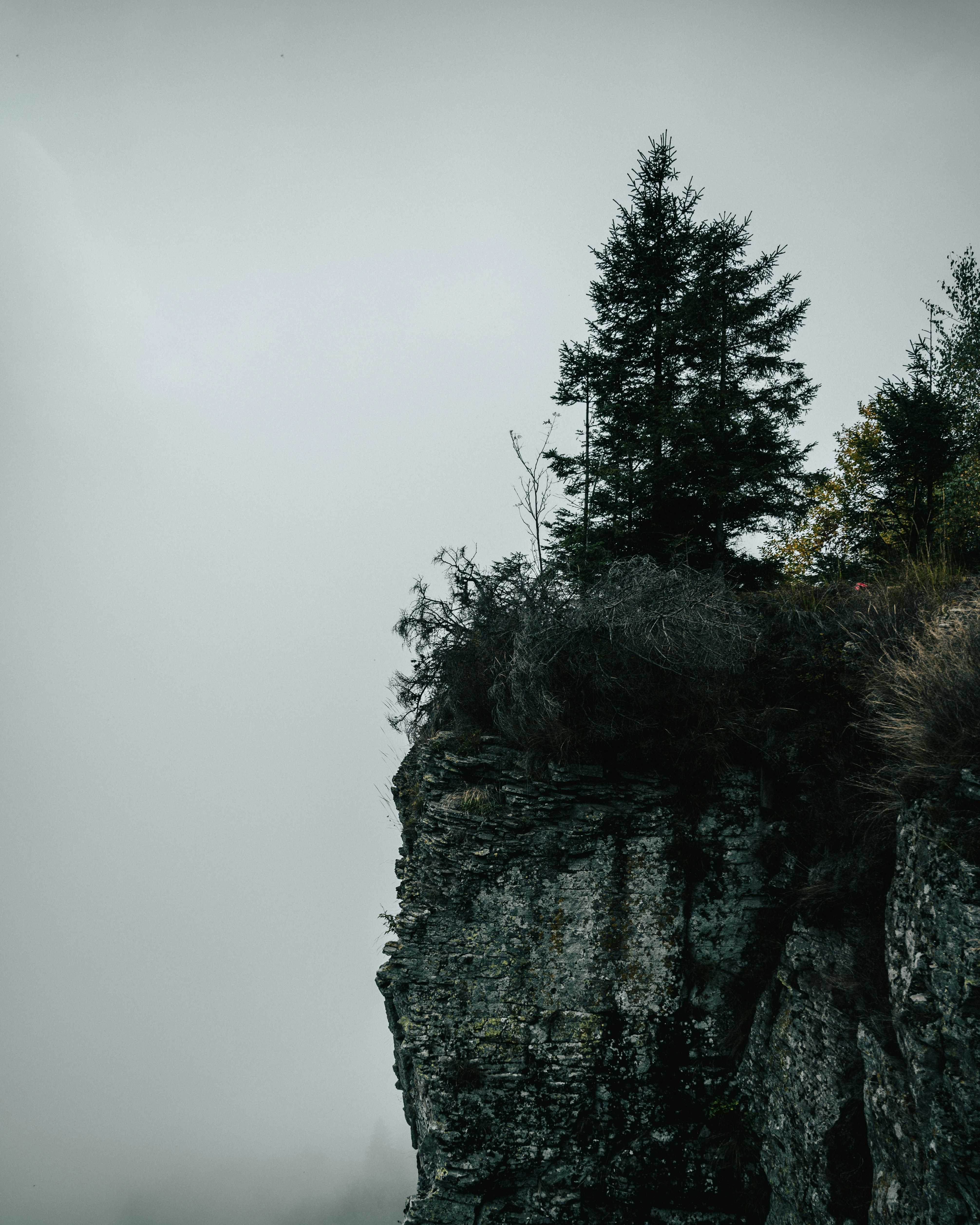 Photo by tamas_tuzeskatai