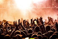 people raising their hands on concert