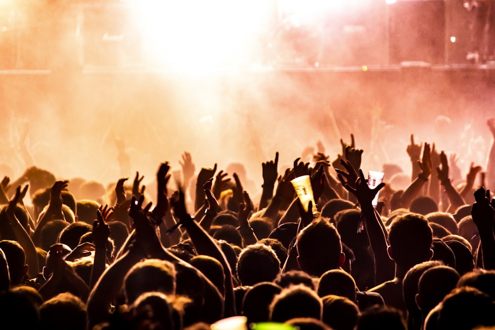 people raising their hands on concert