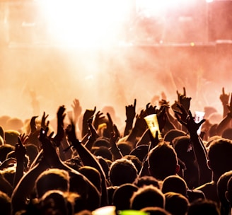 people raising their hands on concert