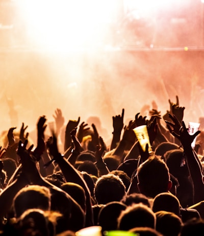 people raising their hands on concert