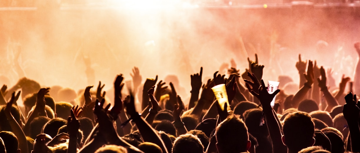 people raising their hands on concert