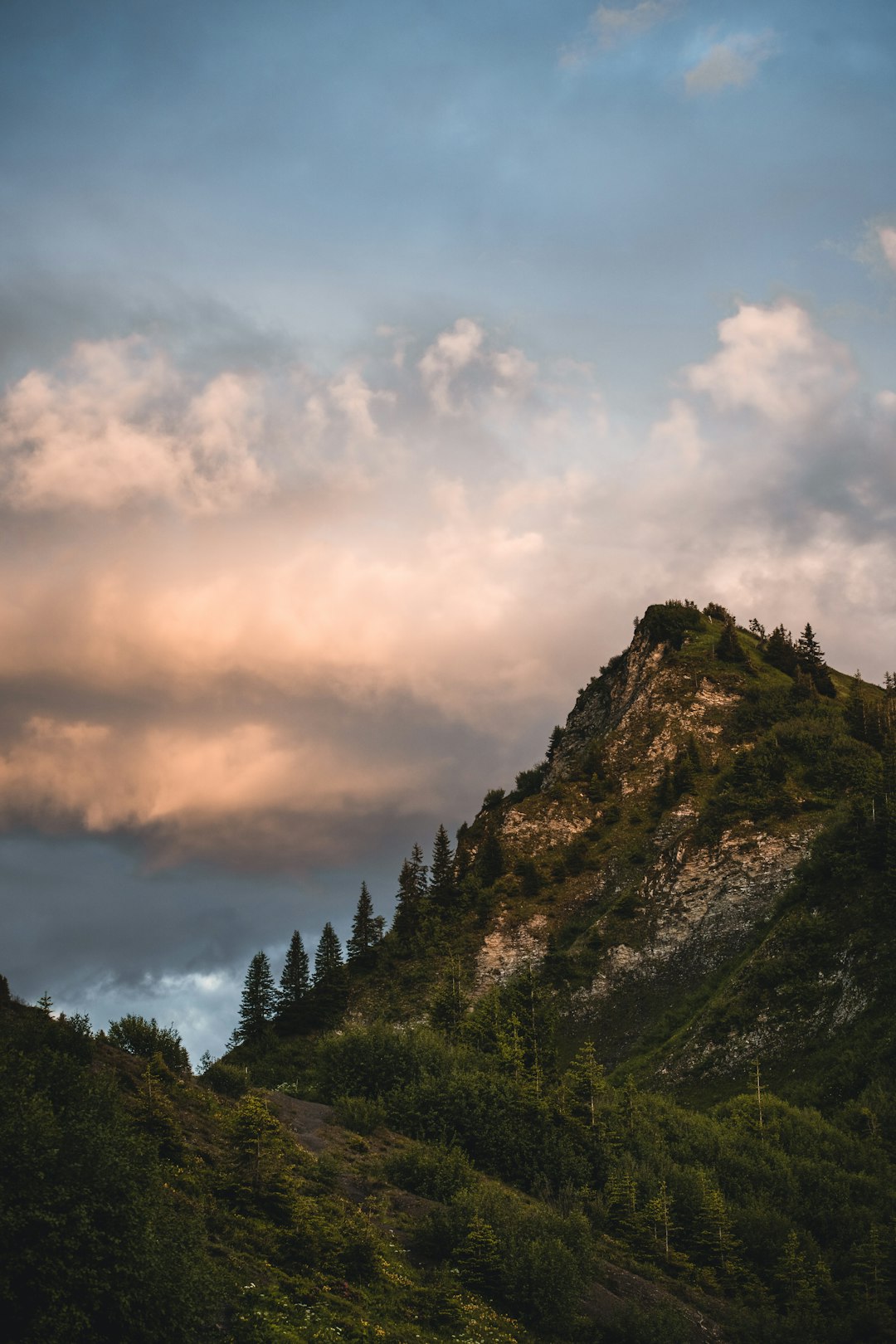 green trees on mountain under cloudy sky during daytime