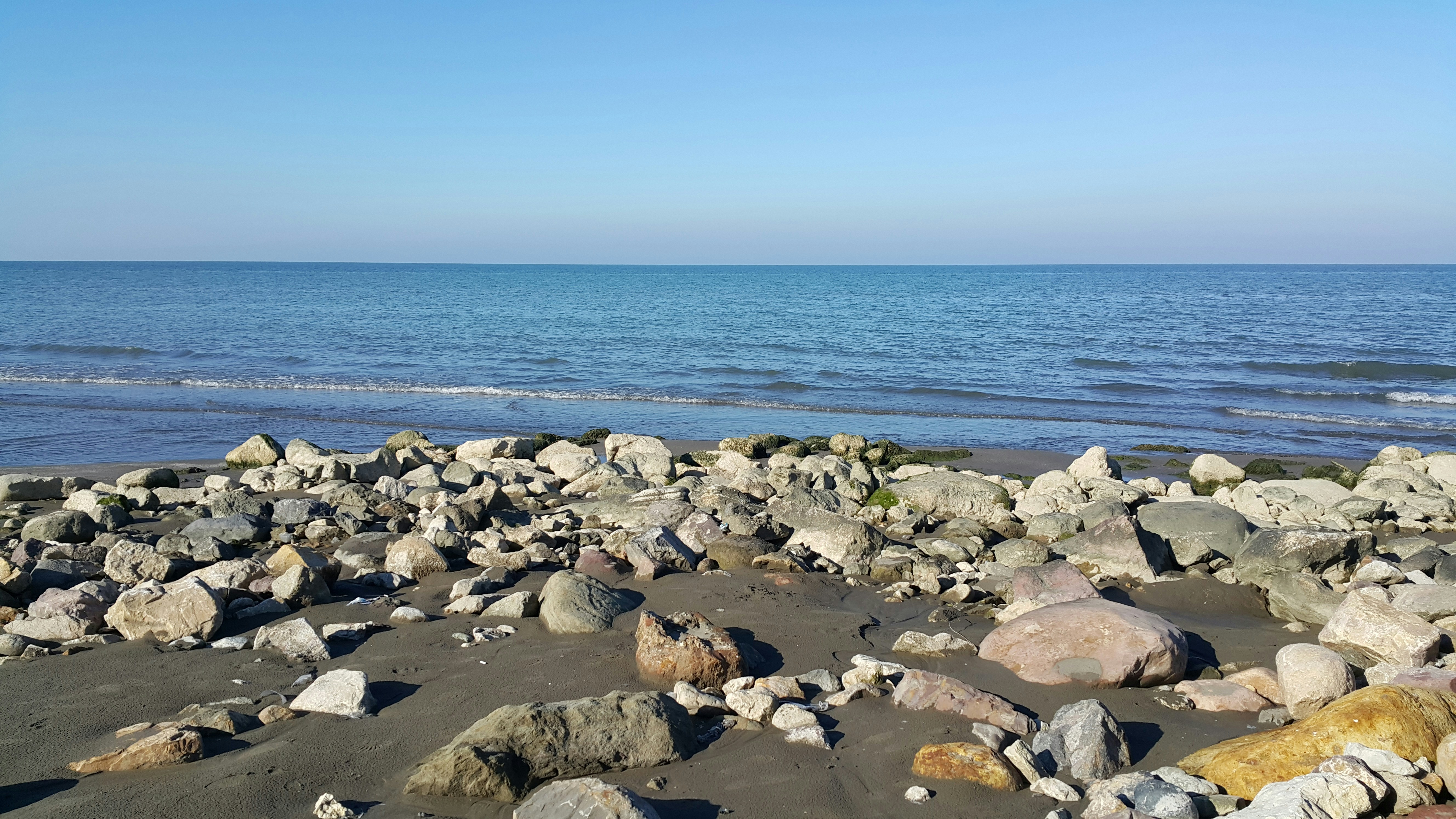 Photo by hamid__reza