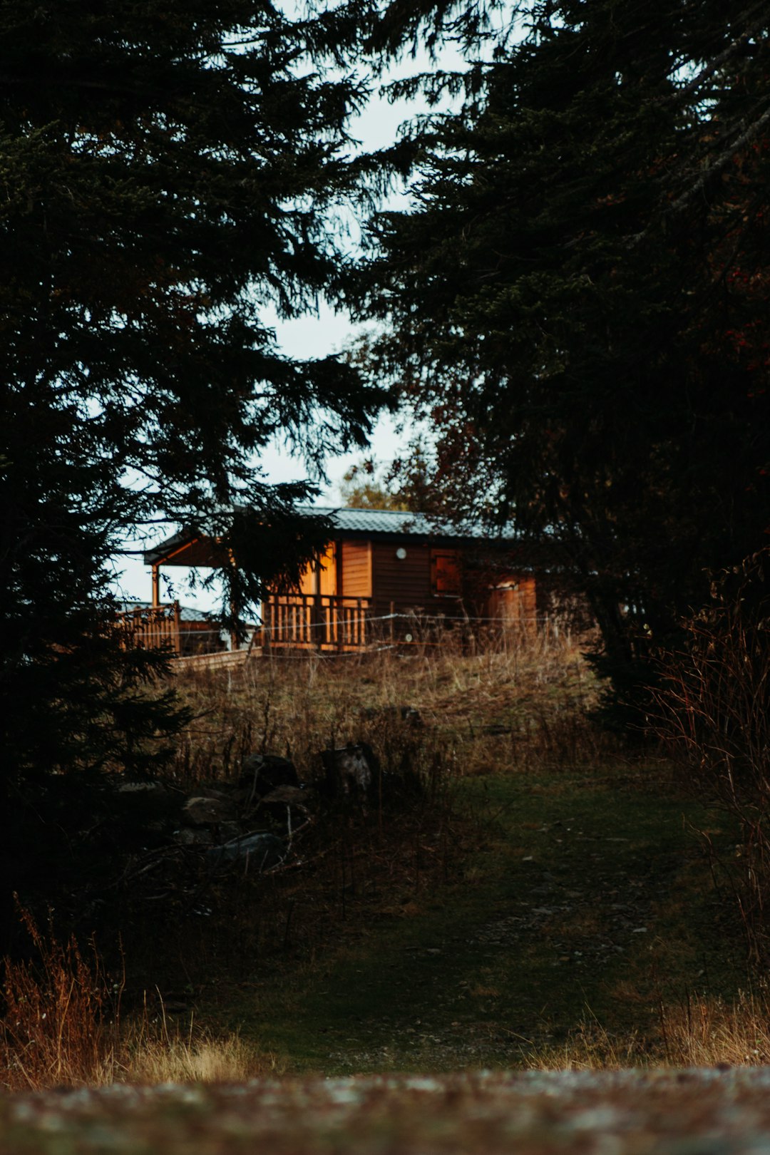 brown wooden house near green trees during daytime