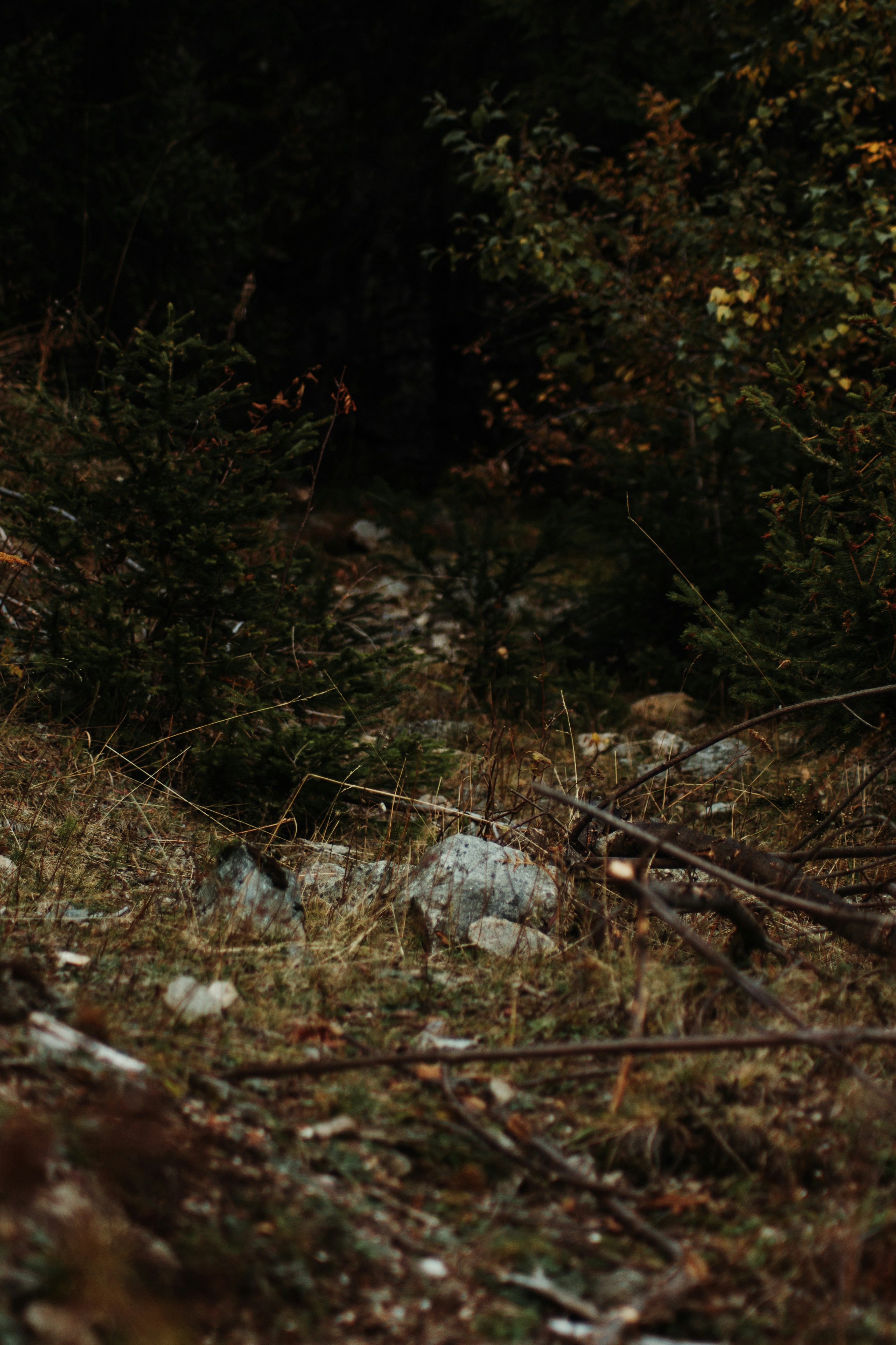 Photo by tom_bressolles