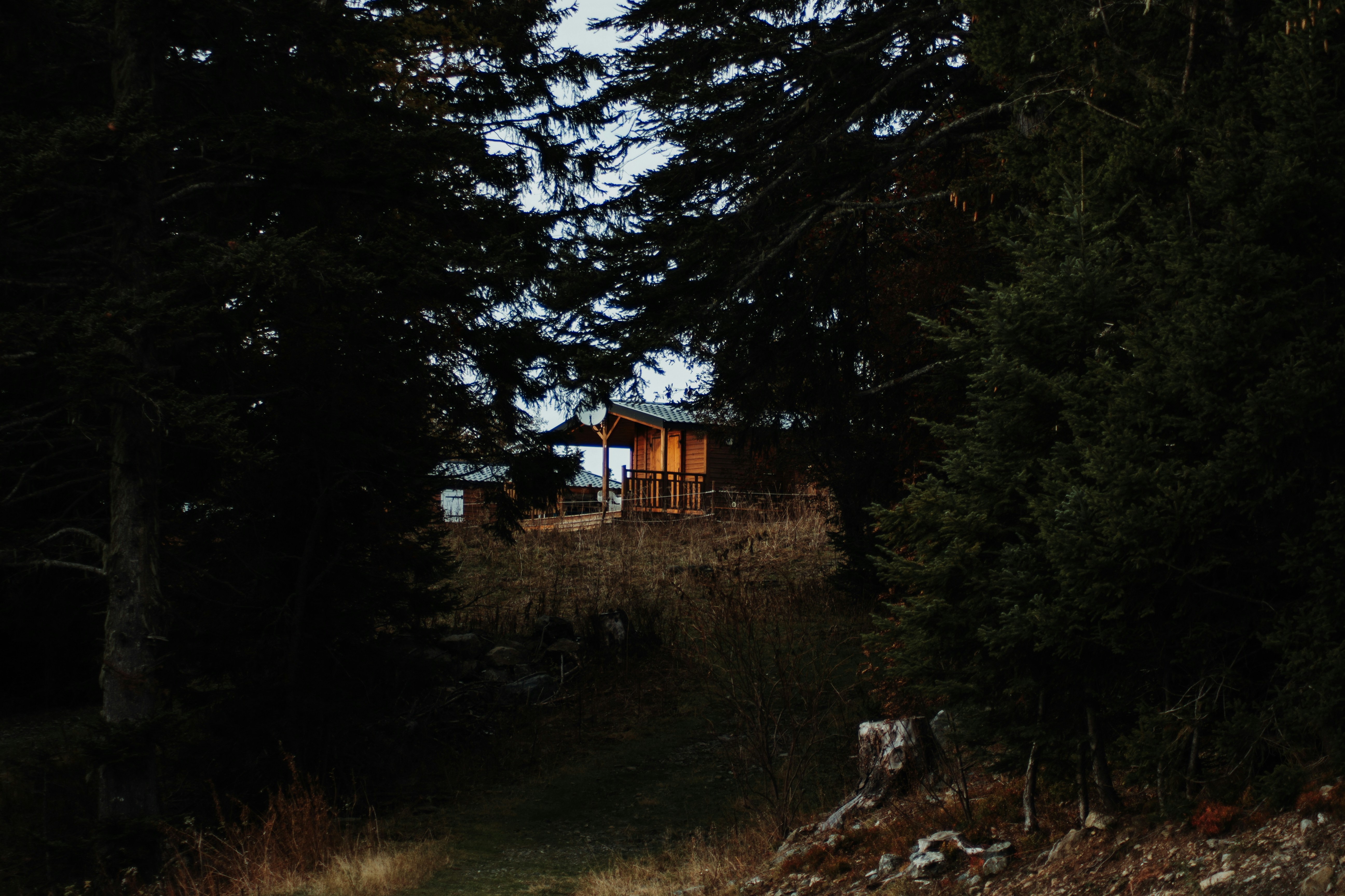 Photo by tom_bressolles