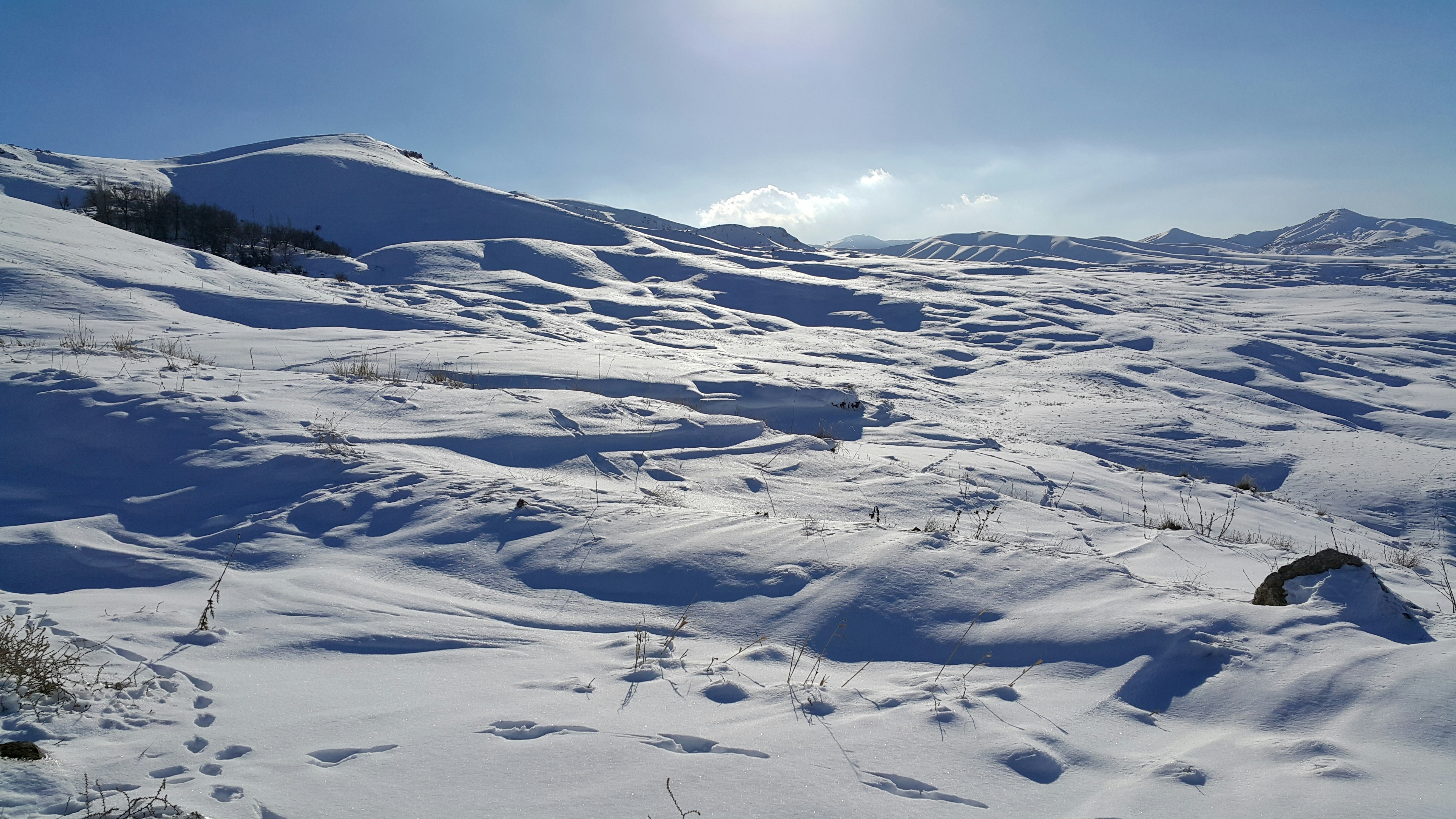 Photo by hamid__reza