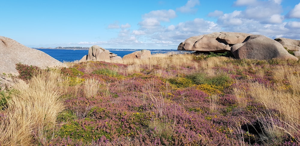 brown rock formation on green grass field during daytime