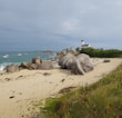 white lighthouse on gray rock formation near body of water during daytime