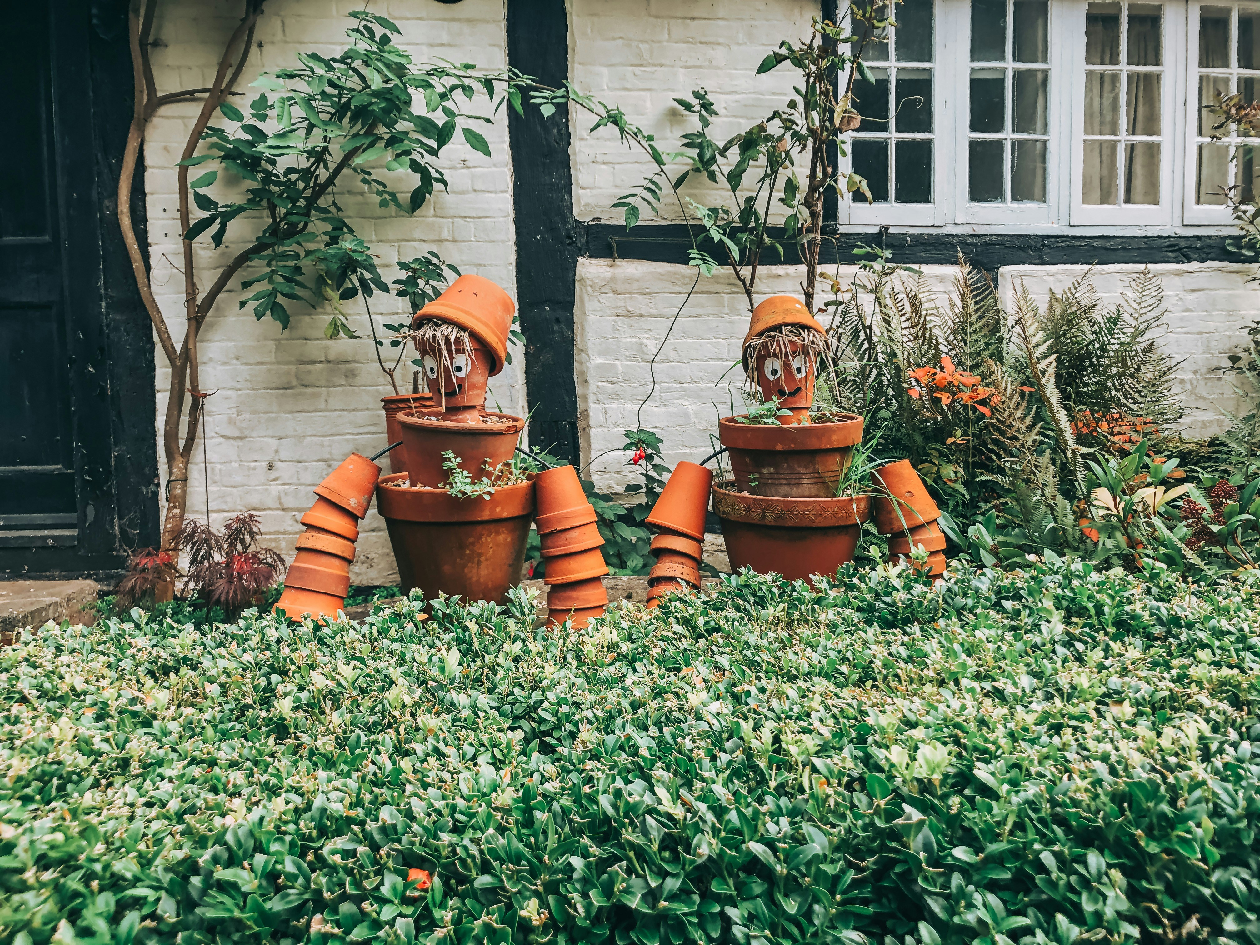 Professional gardening team