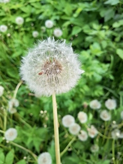 An overhead view of the 3D printed seedmatt design, highlighting the intricate pattern that supports seed growth.