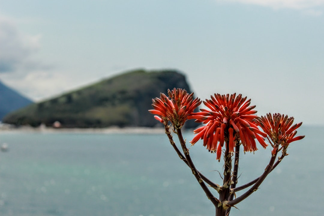 Lake photo spot Budva Sveti Stefan