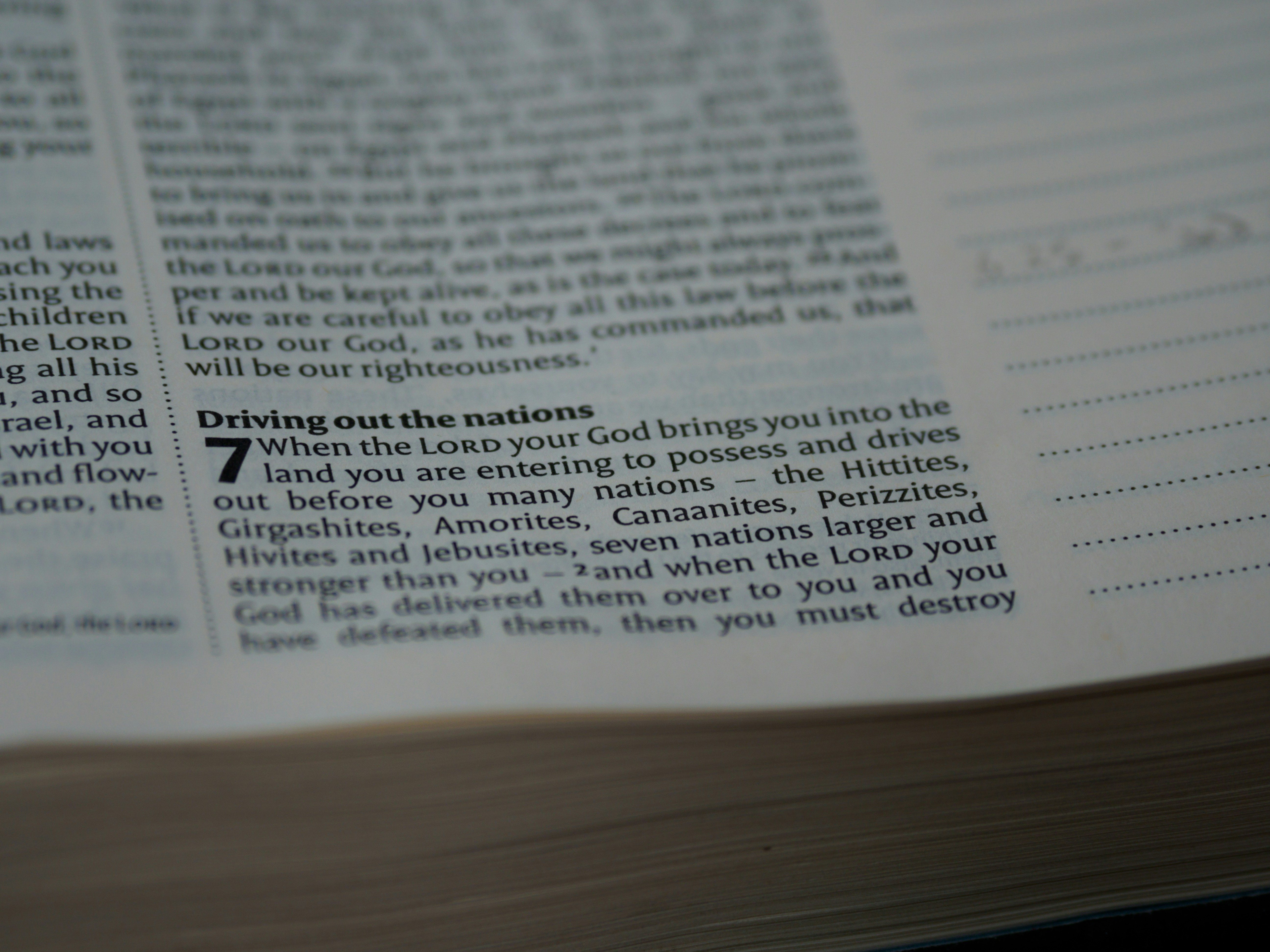 Photo by brett_jordan